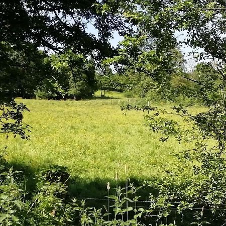 Gite Le Moulin Saint-Vaast-sur-Seulles Eksteriør billede