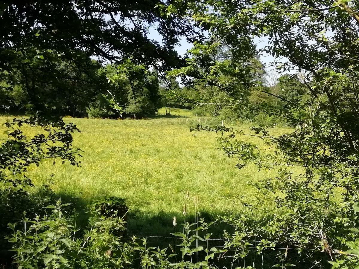 Gite Le Moulin Saint-Vaast-sur-Seulles Eksteriør billede